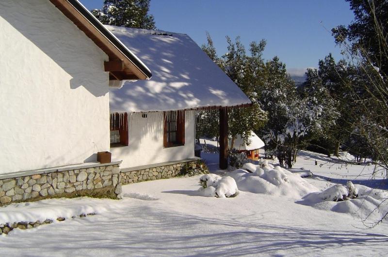 Cabanas & Aparts Lancuyen, Villa De Montana Villa La Angostura Cameră foto